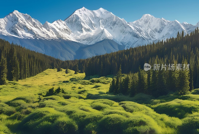 雪山高原草原森林风景