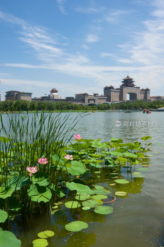 北京西客站莲花池公园风光