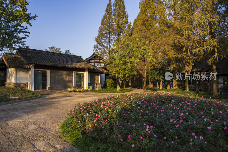 杭州西湖茅家埠江南水乡风景