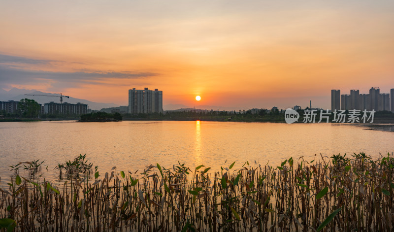 贺州市爱莲湖公园