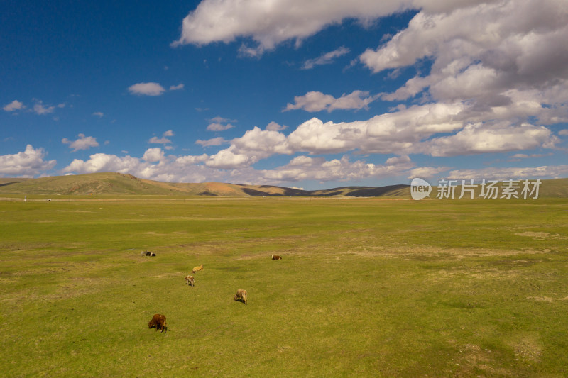 中国新疆伊犁巴音布鲁克草原风景