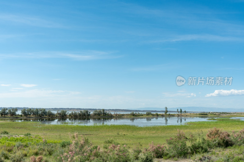 新疆乌伦古湖风景