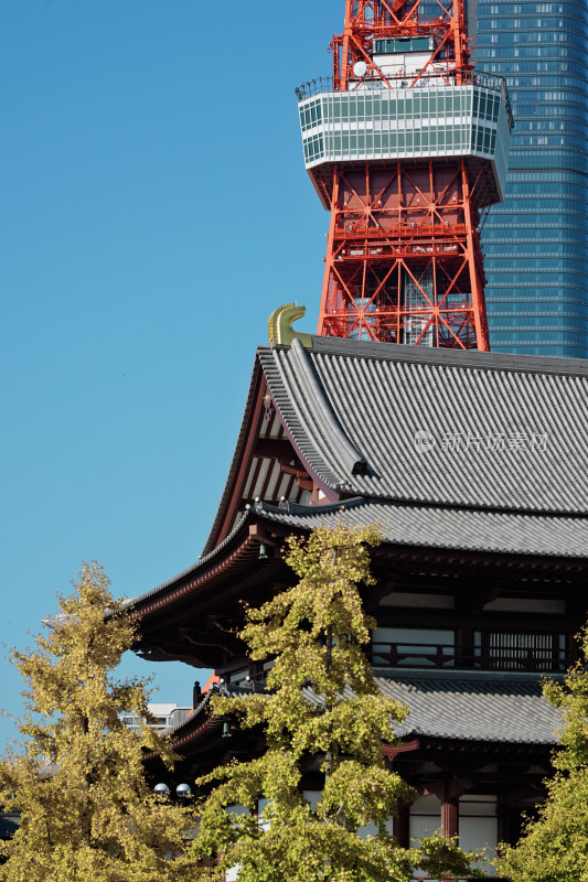 日本东京塔与增上寺