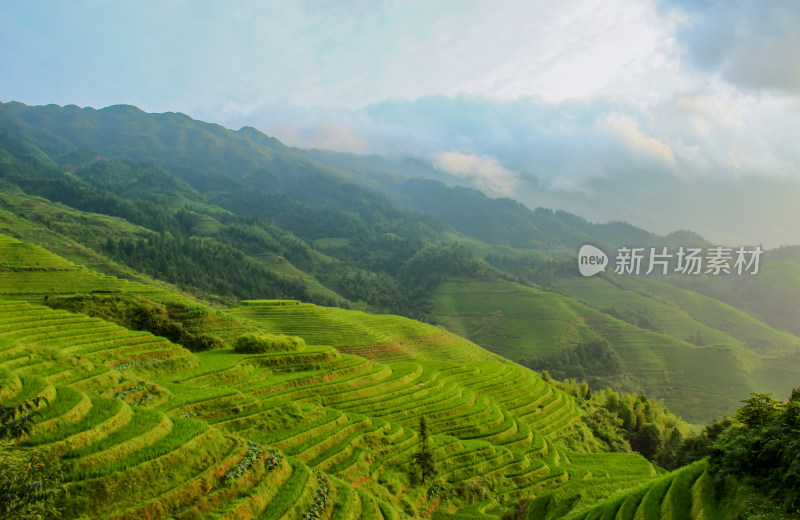 桂林龙脊梯田风光