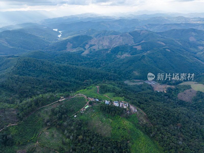 航拍视角下的大片绿色山林山脉全景