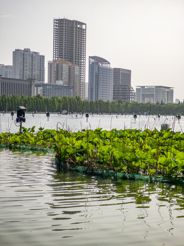 洛阳开元湖景观