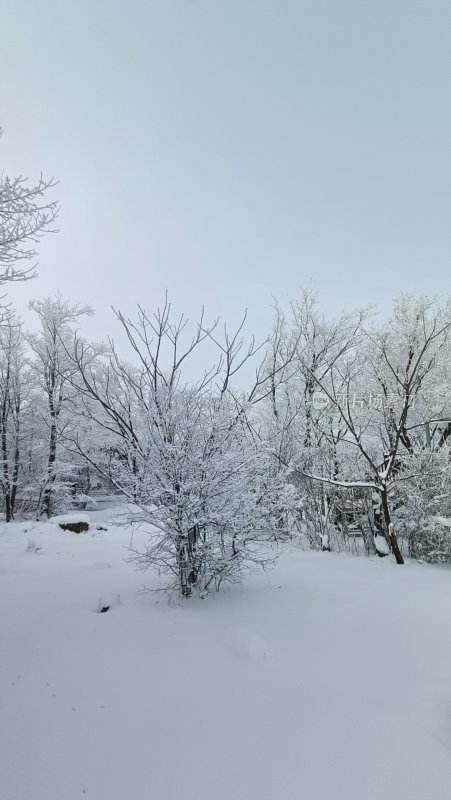 吉林省松花江雪地上的雾凇