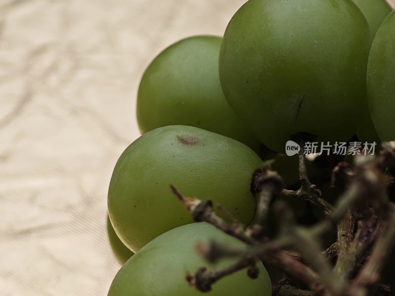 青提特写展示果实饱满的青提近景