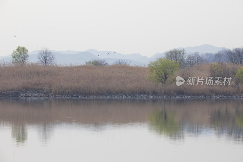 杭州余杭南湖生态环境风光