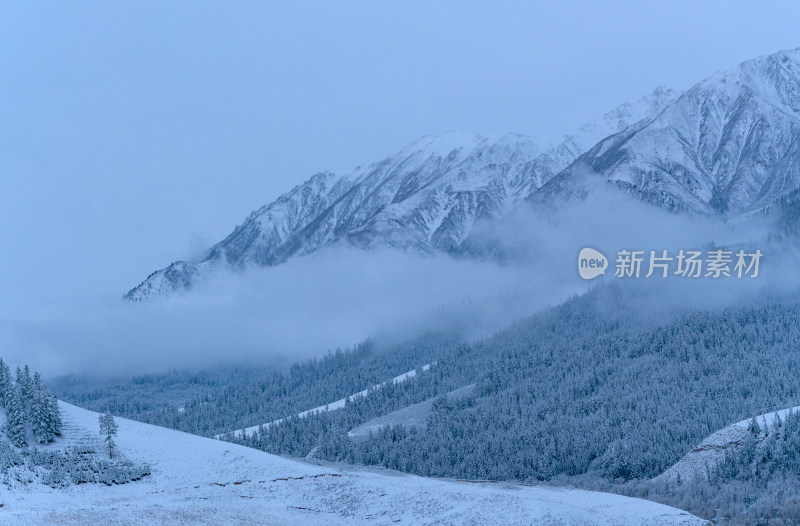 青海祁连卓尔山树林自然唯美雪景风光