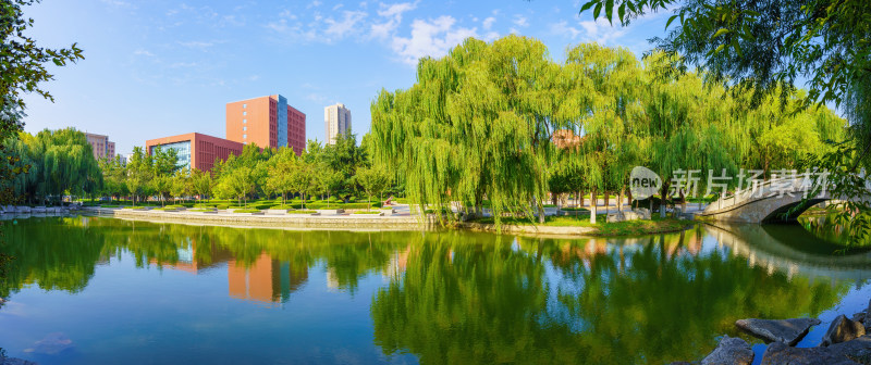 大学校园风景