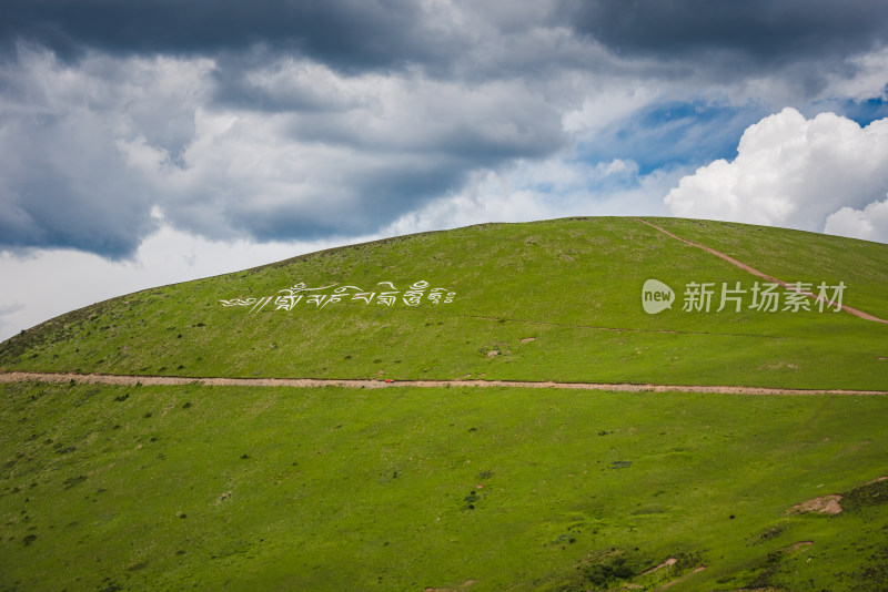 青翠山峦下的广阔草原