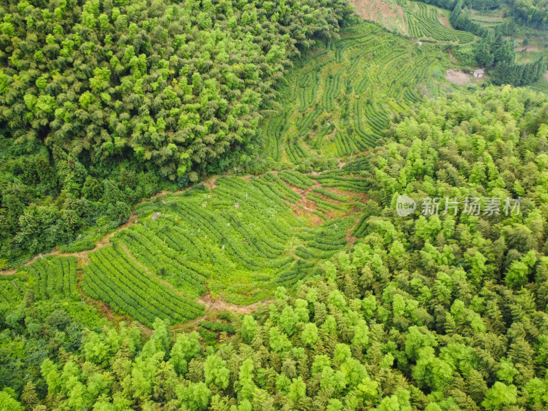 森林山脉航拍