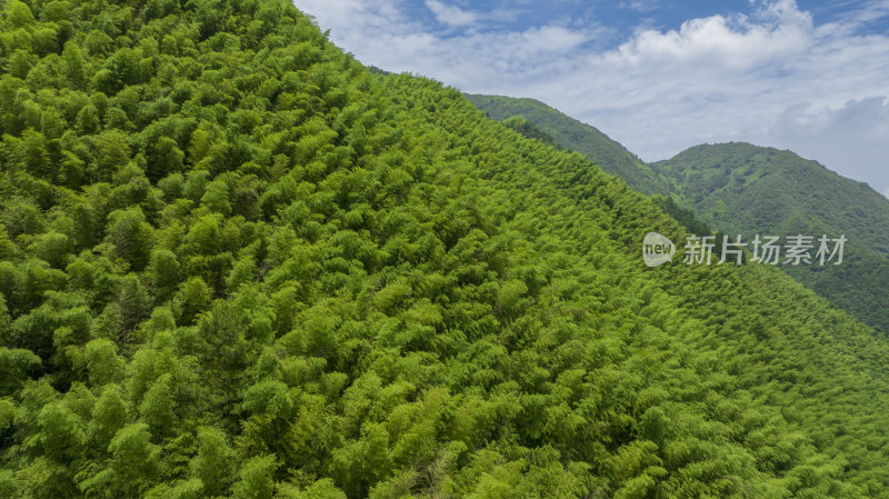 浙江省湖州安吉青山绿水竹山竹海航拍