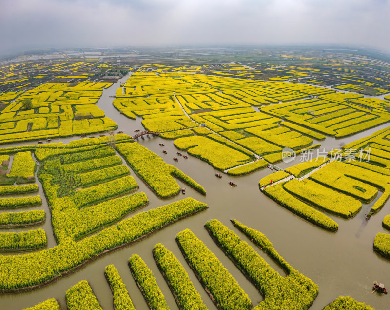 江苏扬州千垛油菜花金黄色运河航拍