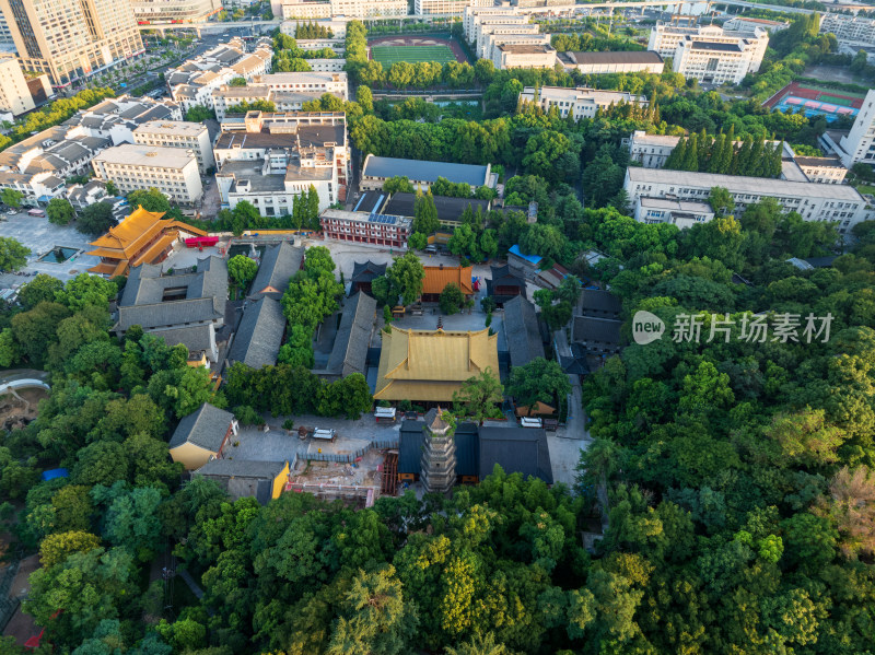 夏季白天航拍安徽芜湖广济寺全景