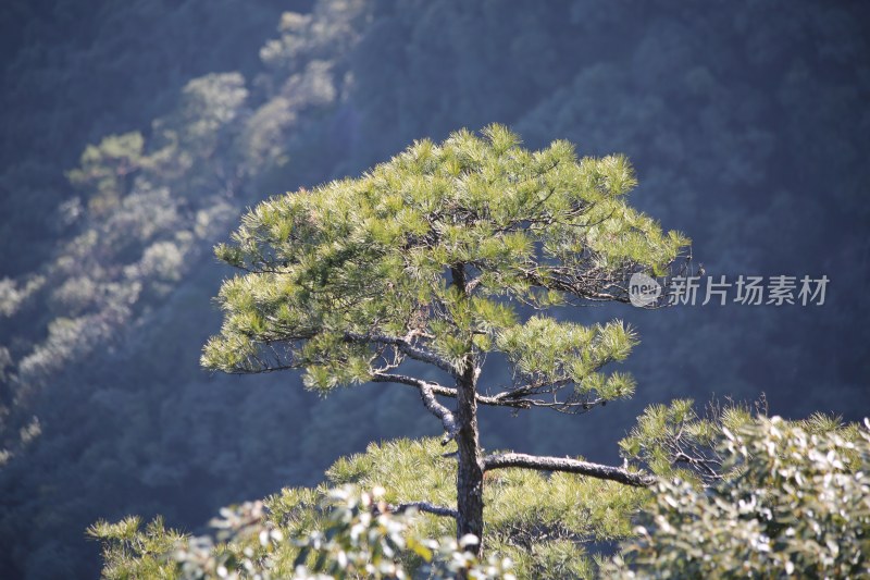 绝景在三清