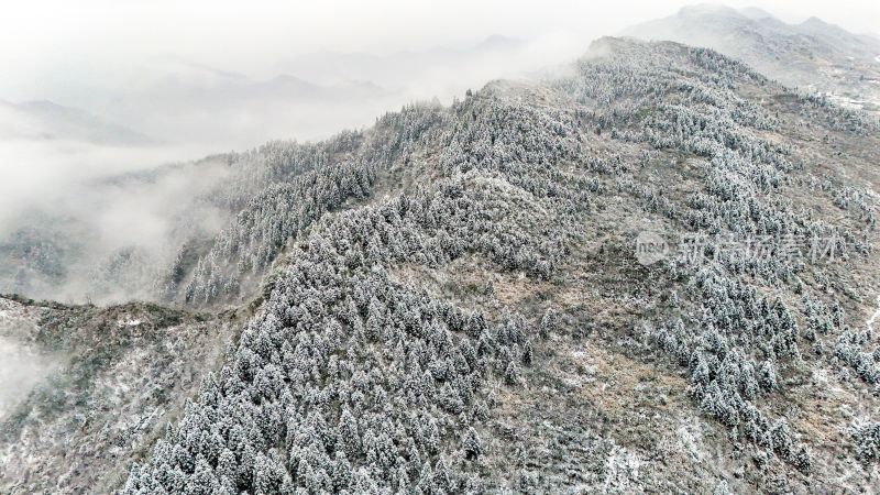 重庆酉阳：大雪纷飞赏雪忙