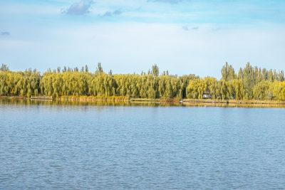 酒泉市怀茂湿地公园