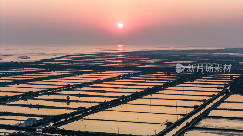 水产养殖：廉江市龙营围万亩虾田