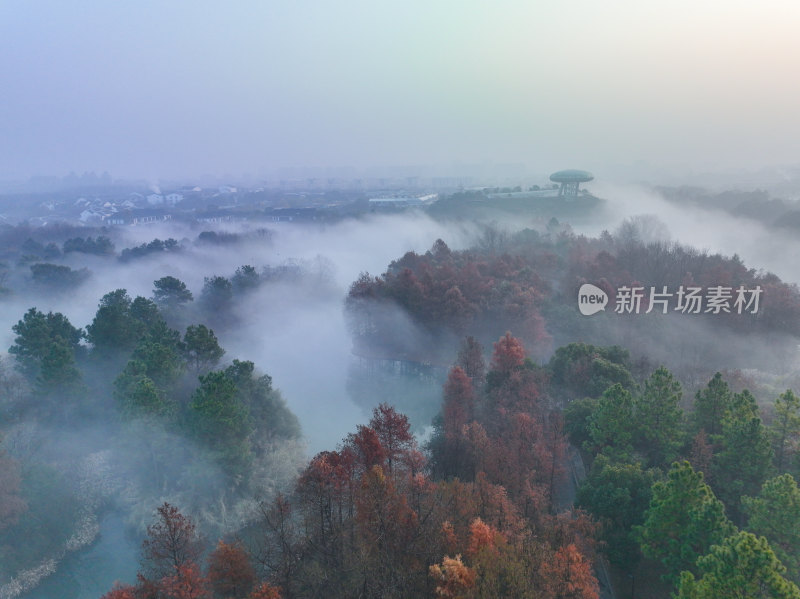 杭州西溪湿地国家公园晨雾美景