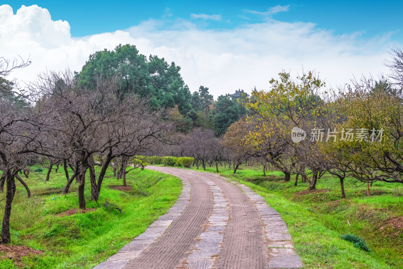 南京钟山风景名胜区明孝陵风景