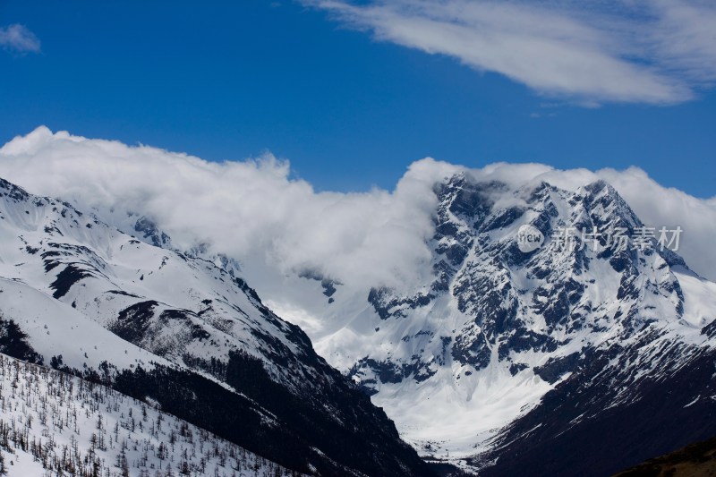 白马雪山