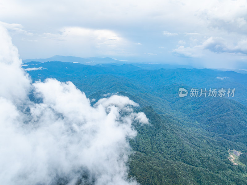 航拍海南乐东县尖峰岭国家森林公园云海