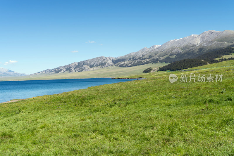 中国新疆赛里木湖夏季风景