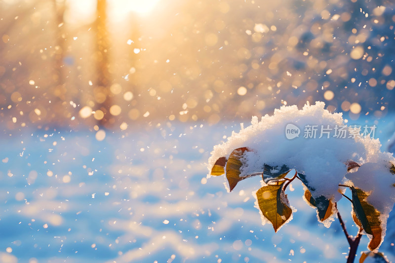 冬天风景大雪背景