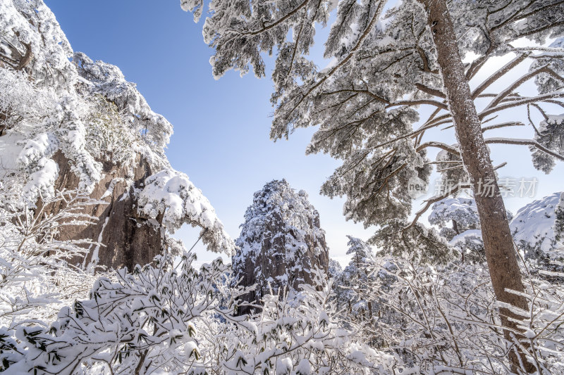 雪覆山林与岩石景观——雪后黄山石笋峰