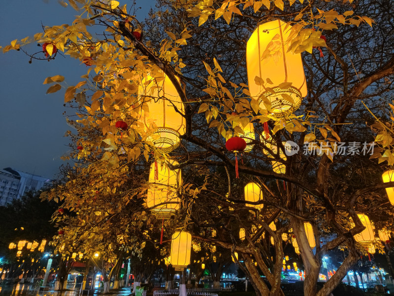 挂在金色灯笼有金色叶子的树
