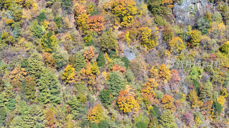 前往川西阿坝理小路自驾游玩