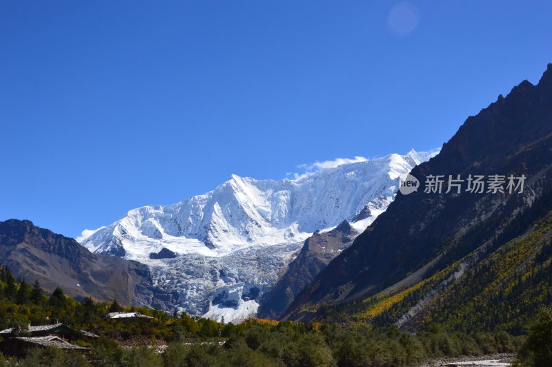 高原上的雪上绿树