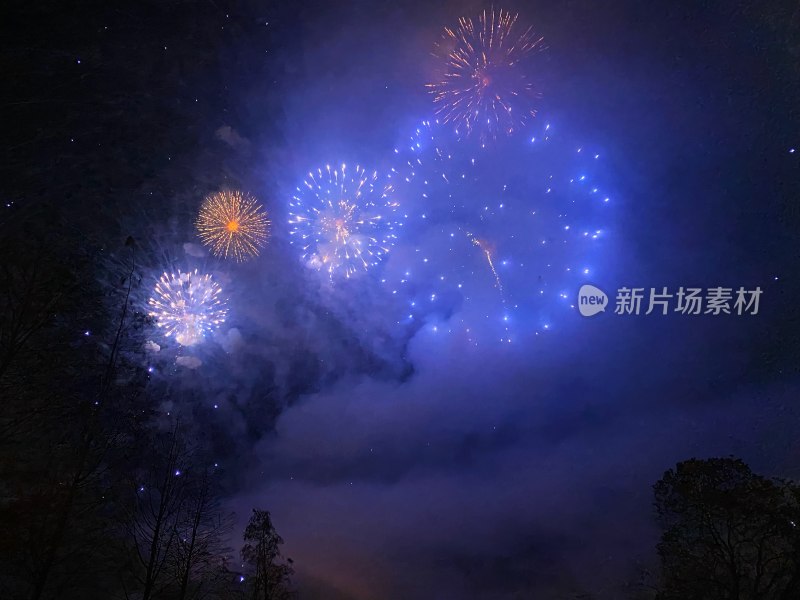 夜空下绽放的多彩绚烂烟花美景