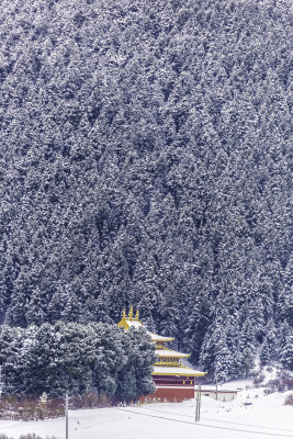 扎尕那冬季雪景