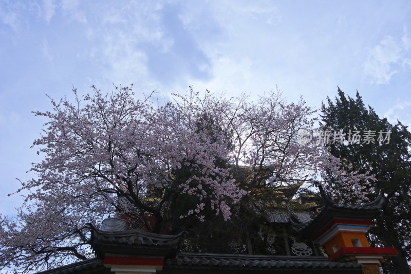 独克宗古城大佛寺