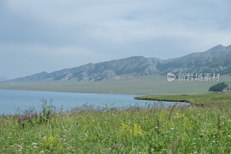 新疆博尔塔拉赛里木湖景区