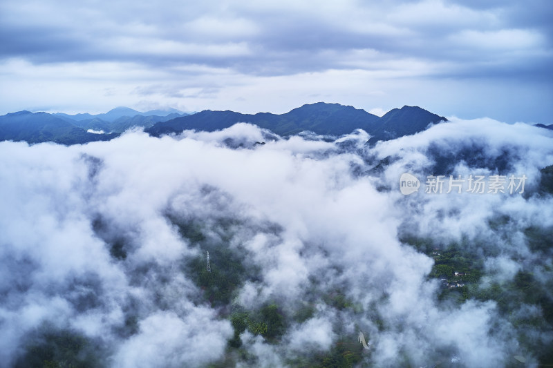 晨雾下的乡村风光