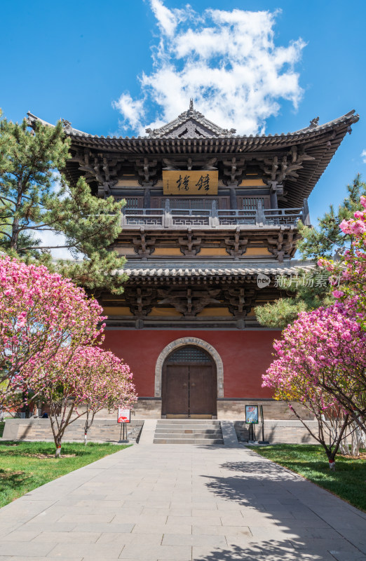 春天花海中的山西大同华严寺钟楼