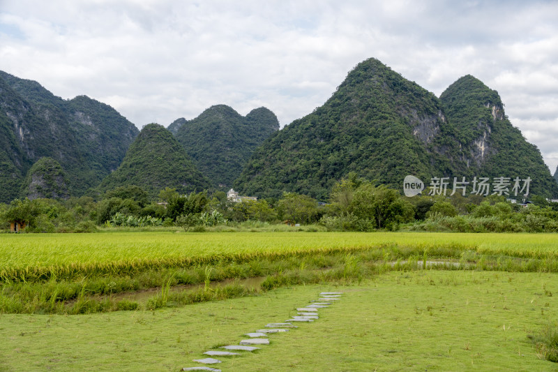 阳朔遇龙河风光