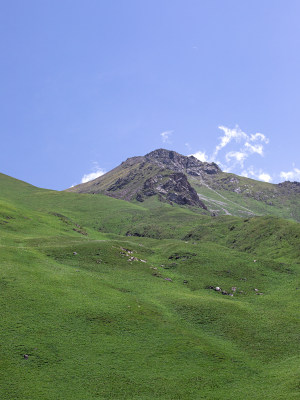 蓝天白云下的一大片绿色草地的自然风景