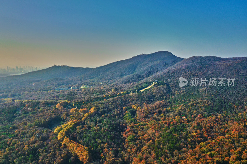 南京钟山的秋天美景