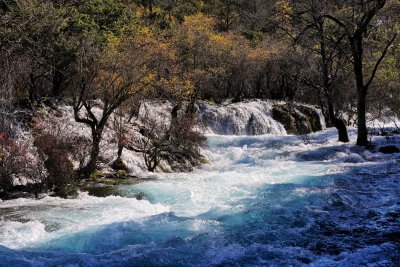 秋天九寨沟树正沟风景