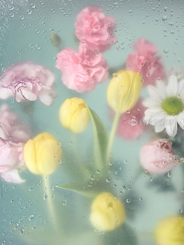 透过满是雨滴的玻璃窗户看五彩缤纷的鲜花