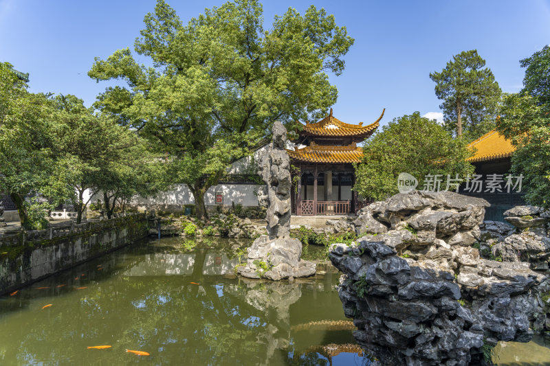 杭州西湖景区文澜阁风景