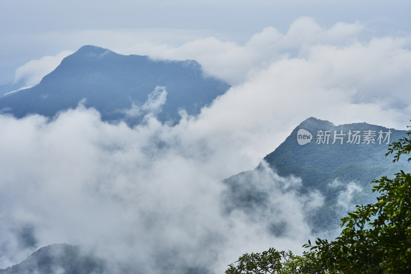 云雾缭绕的金佛山