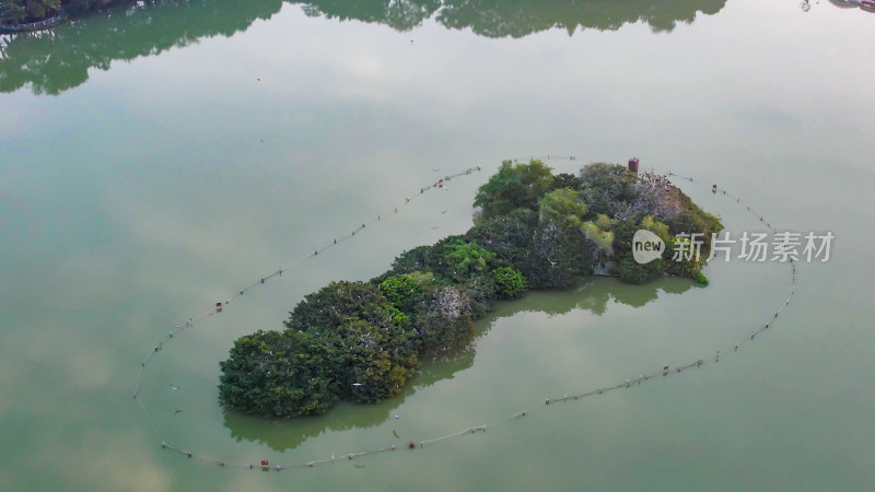 广东惠州西湖景区风景航拍