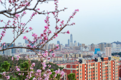 春天青岛北岭山远眺城市风光