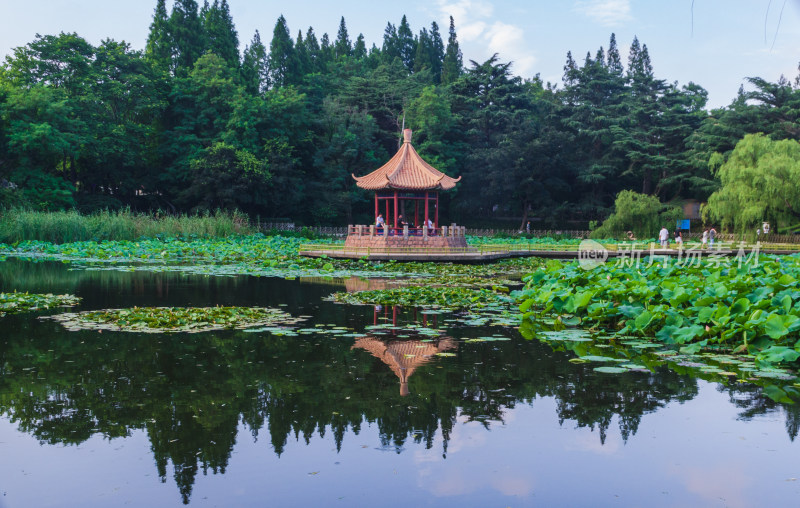 青岛中山公园小西湖，湖中倒影风光